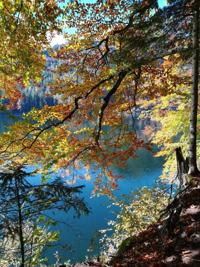 Appartementhaus Grill Strobl Dış mekan fotoğraf